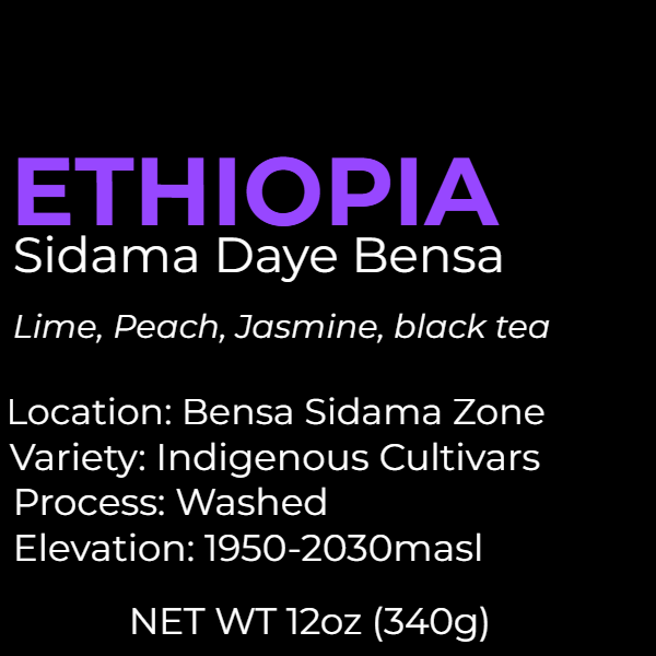 ETHIOPIA - Sidama Daye Bensa