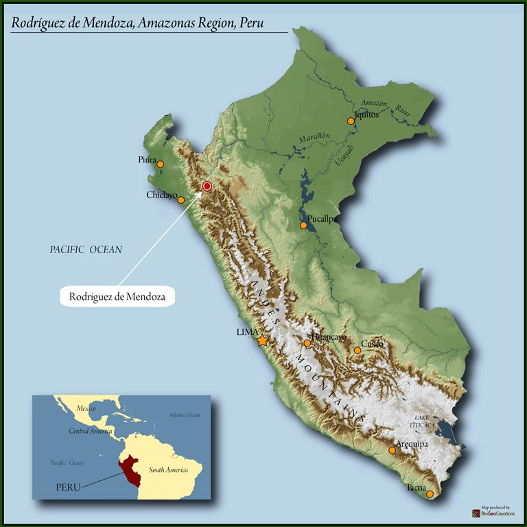 PERU - Cafe De Mujer - Organic