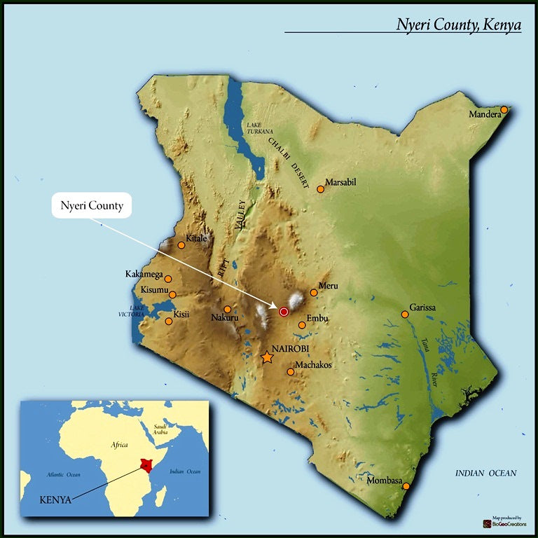 KENYA - Nyeri Rumukia Peaberry